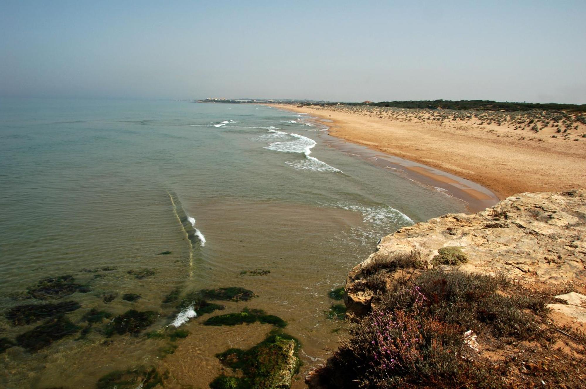 Отель Parco Della Rocca Пунта-Браччетто Экстерьер фото